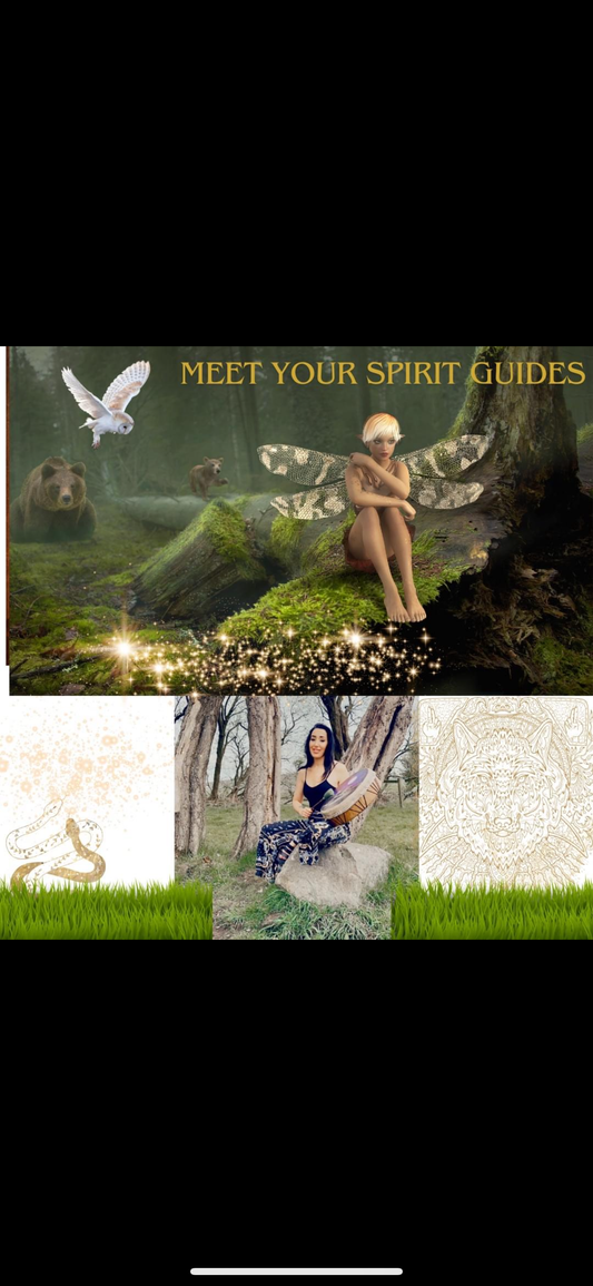 Meet your Spirit Guide’s from the different realms