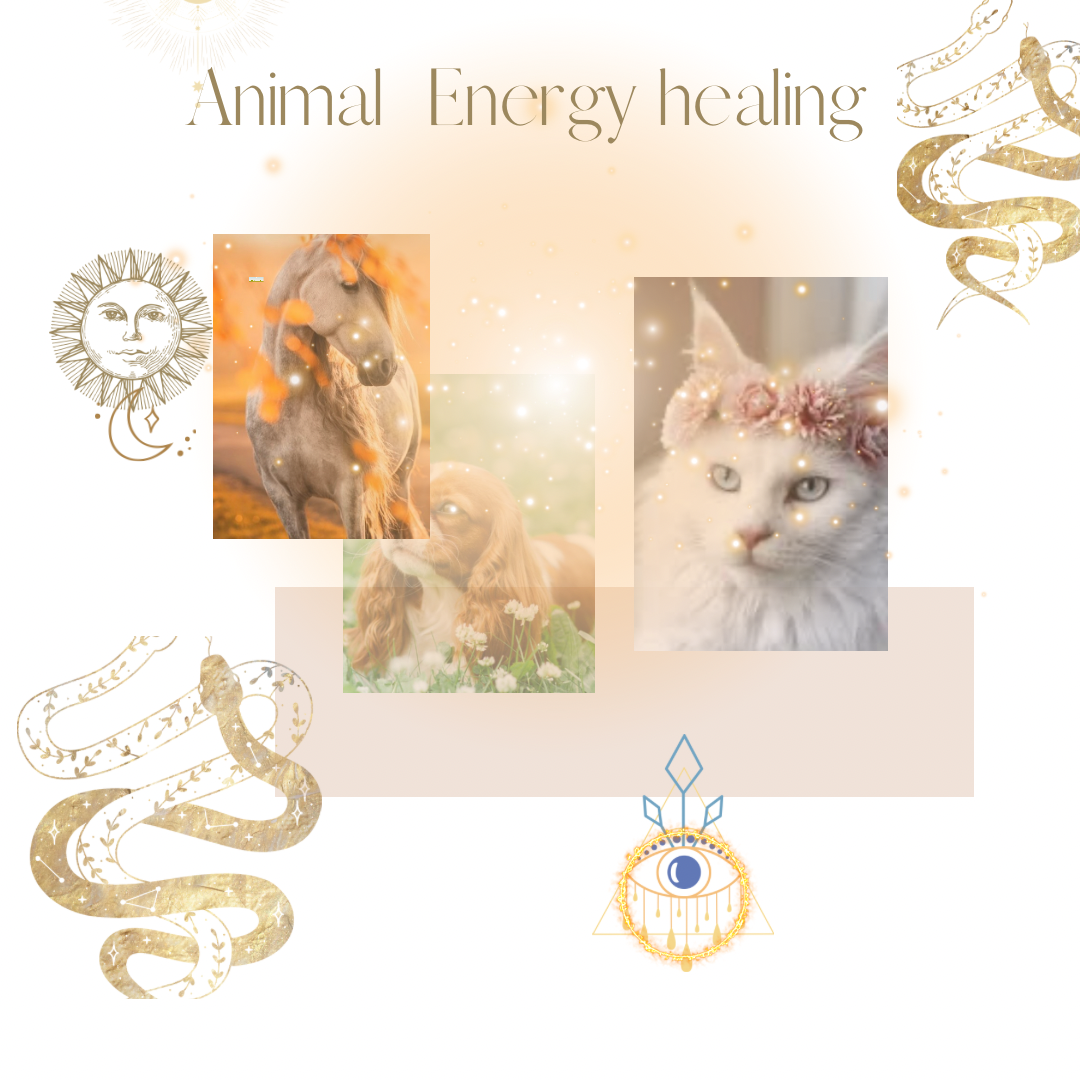 Animal energy healing